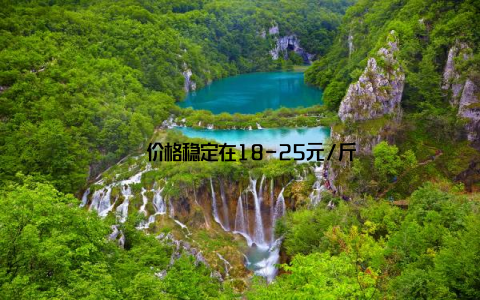 – 价格稳定在18-25元/斤