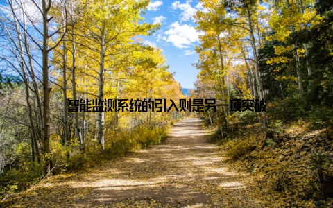 智能监测系统的引入则是另一项突破