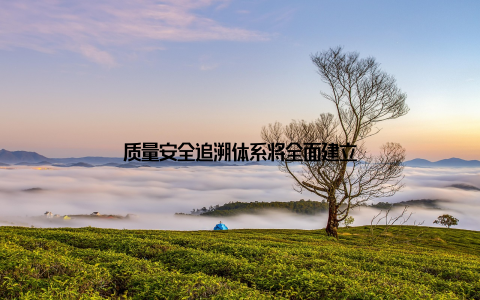 质量安全追溯体系将全面建立