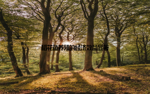 稻花鱼养殖的经济效益显著