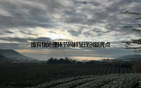 废弃物处理环节同样呈现创新亮点