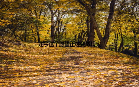 如今这个愿望正在变成现实