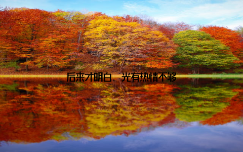 后来才明白, 光有热情不够