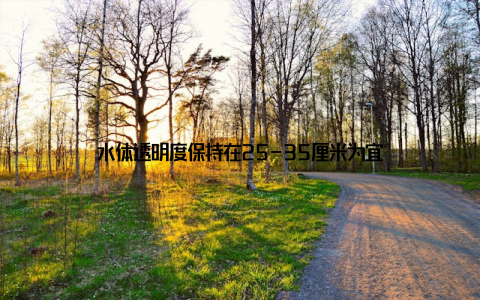 水体透明度保持在25-35厘米为宜