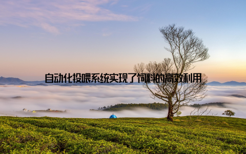 自动化投喂系统实现了饲料的高效利用